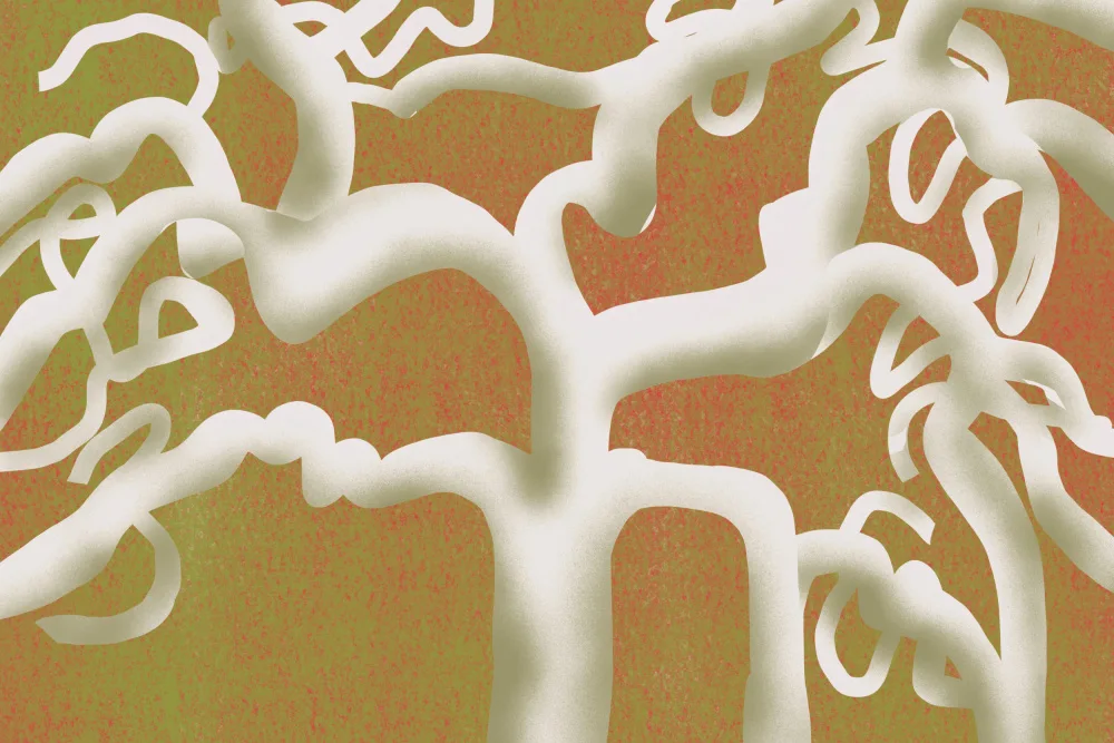 Dean, Little: White tree