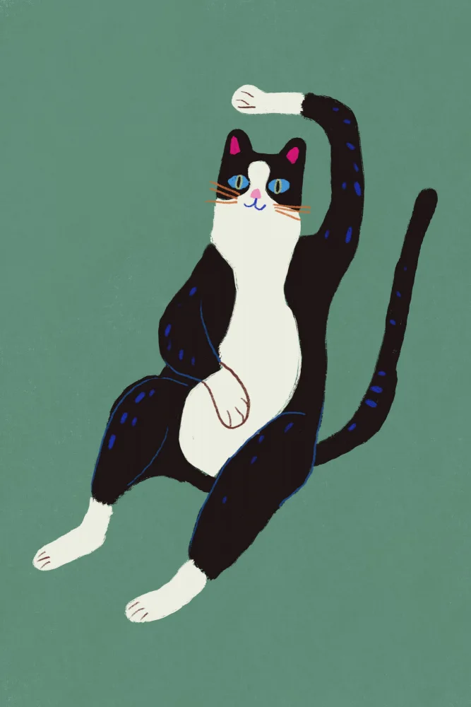 Dean, Little: Black and white cat