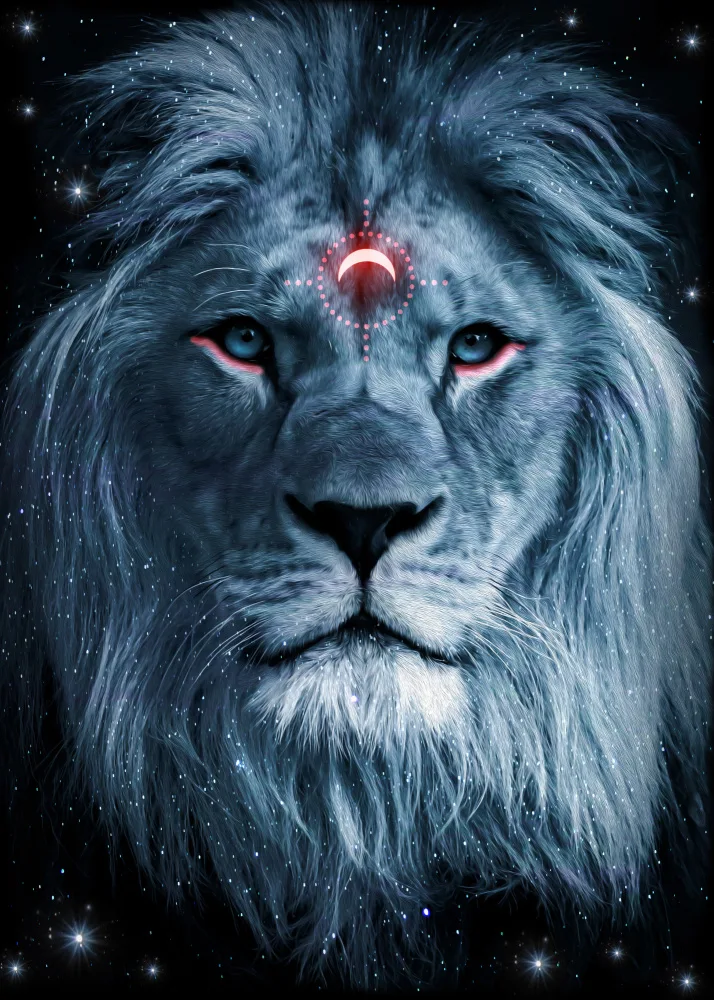 Barizi, Al: Lion Darkness