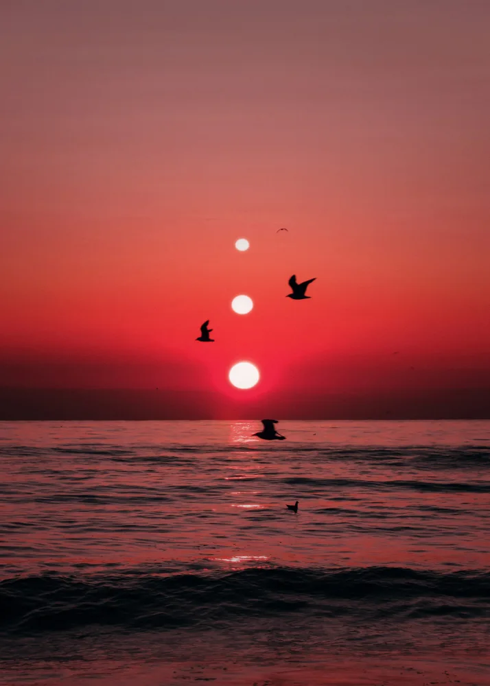 Barizi, Al: Three Sunset and Birds