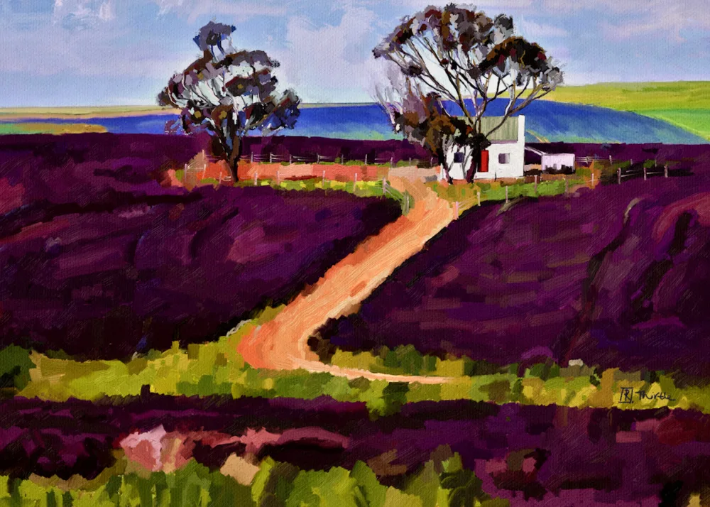 Thirtle, Robert: Campi di lavanda
