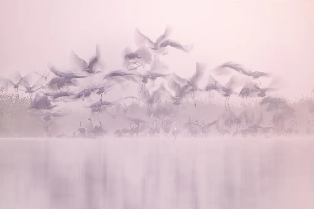 Nebelski, R. Rafal: Ghosts