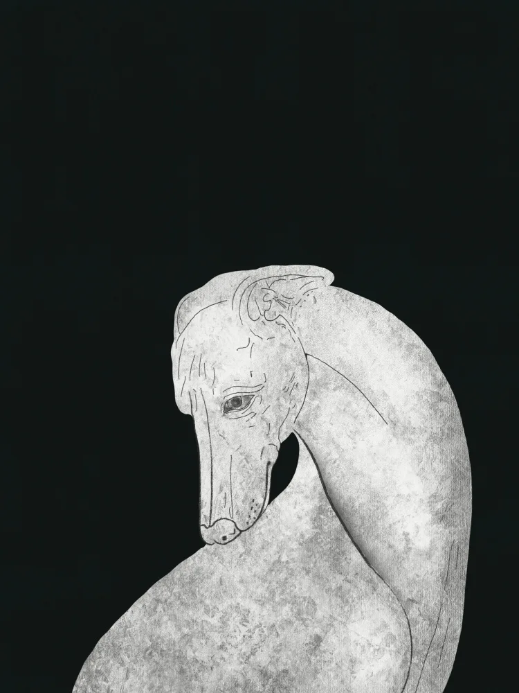 Dean, Little: Greyhound black and white