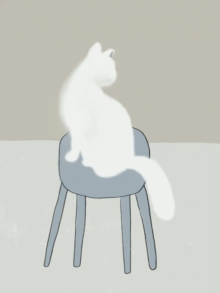 Dean, Little: White feline