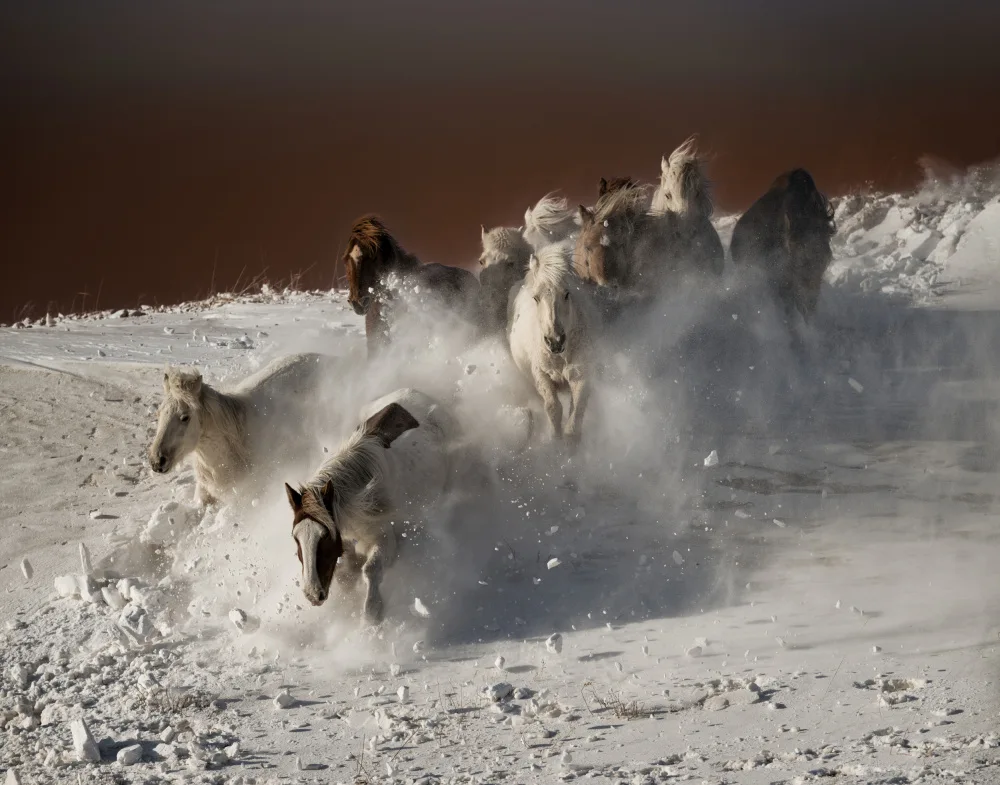 Ren, Chuanxu: Running Horses