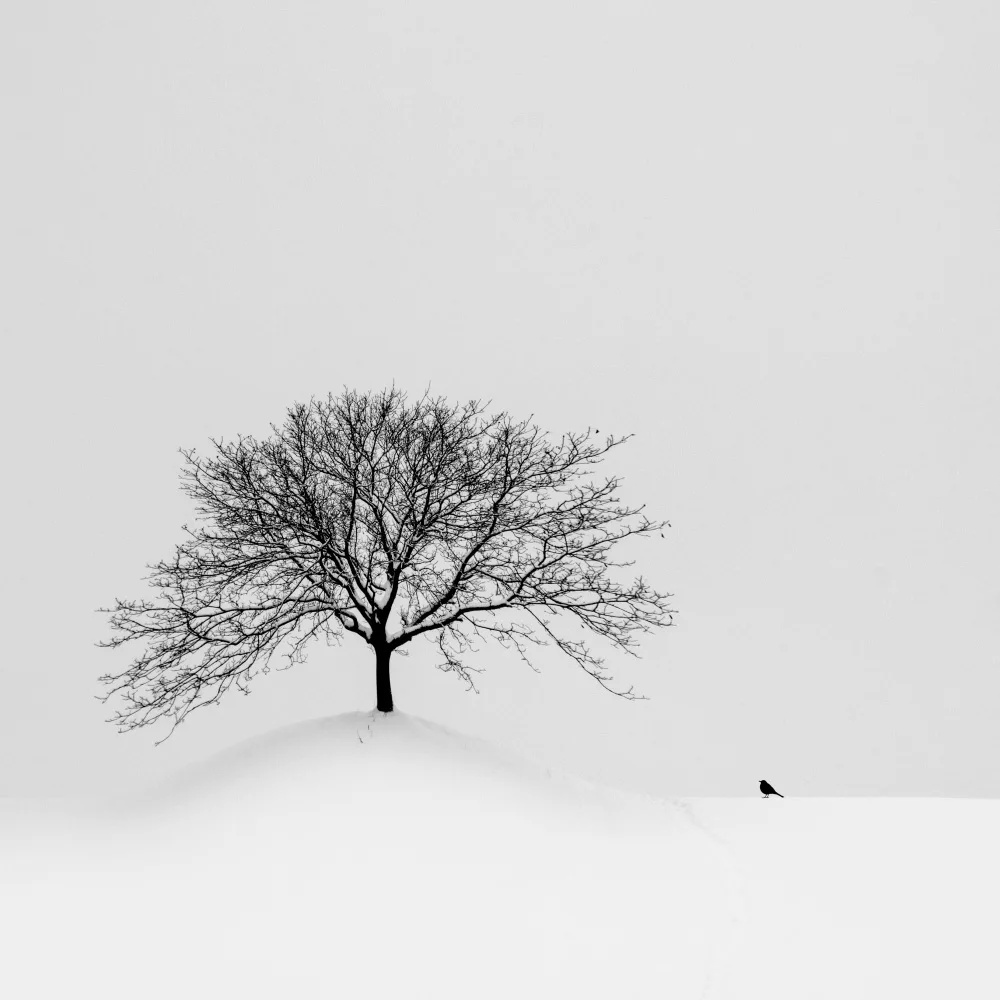Wasinger, Renate: the bird