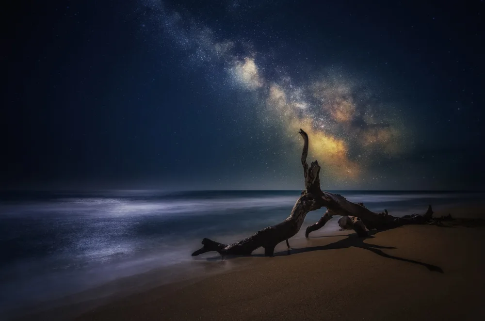 Markova, Albena: Meerestier