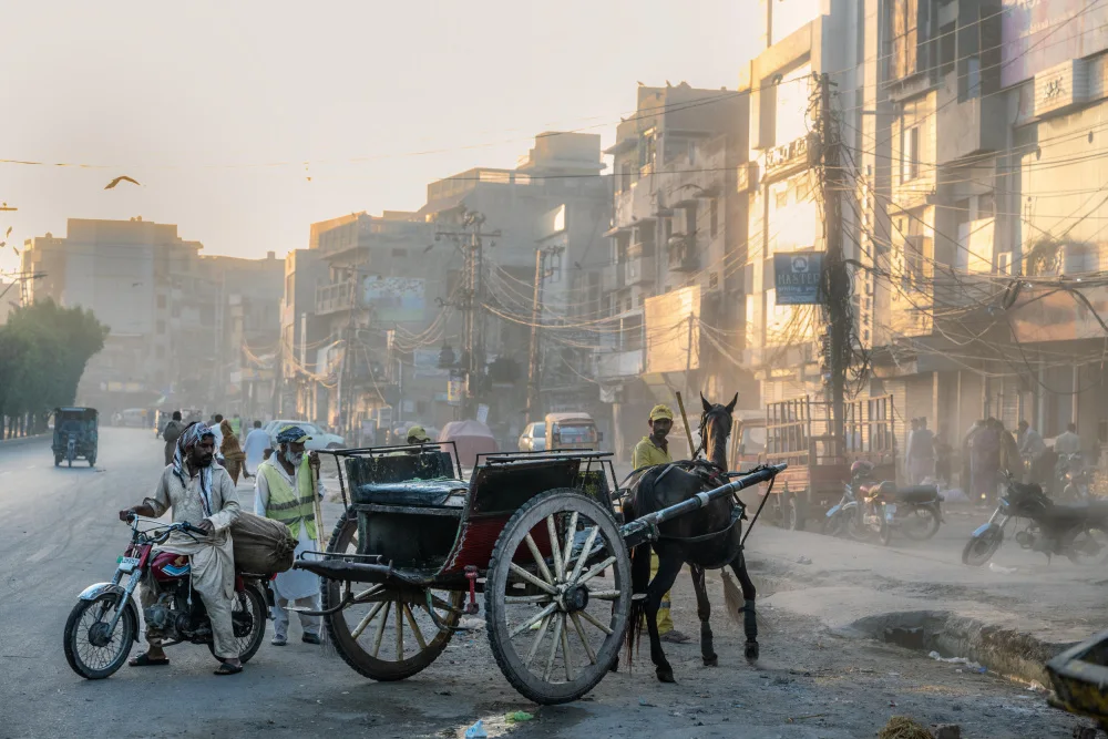 Cole, Trevor: Vieux Lahore à l'aube