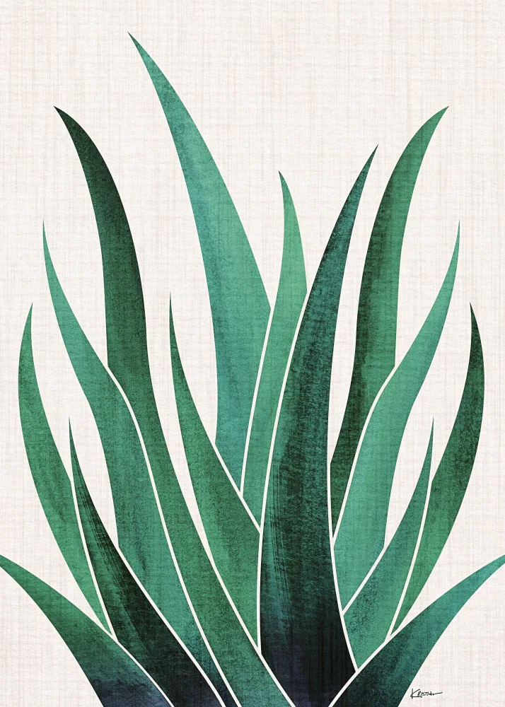 Gallagher, Kristian: Cactus de agave del desierto