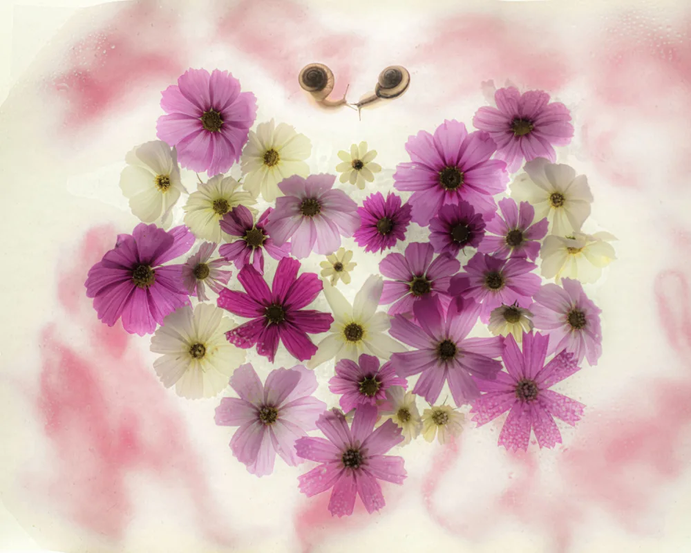 Miharu: amor y paz