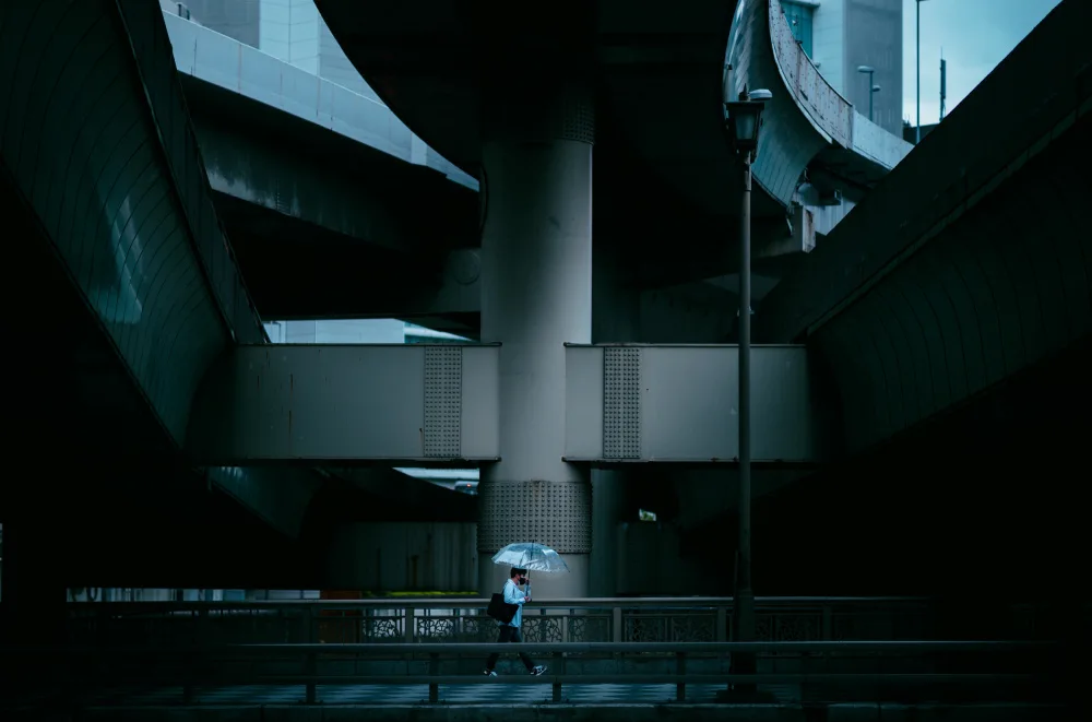 Fujii, Yuzo: La jonction
