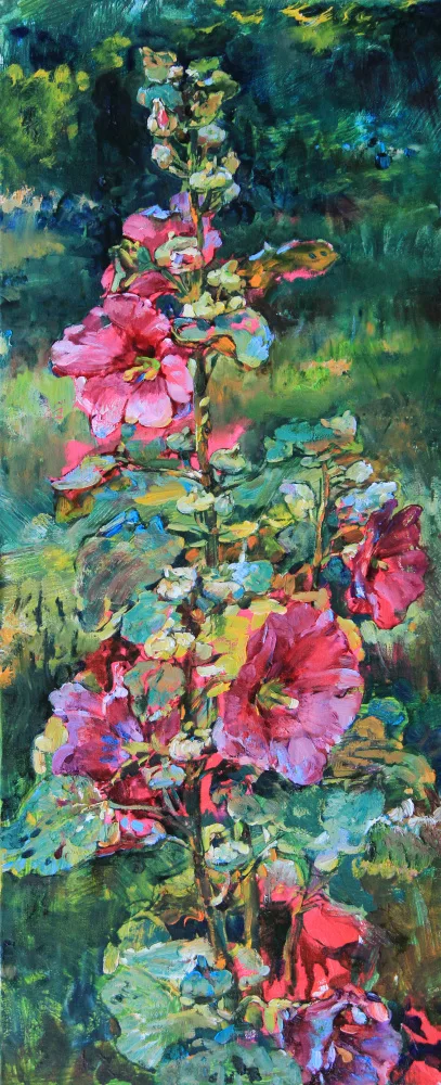 Kutsachenko, Andrii: malvas rosas