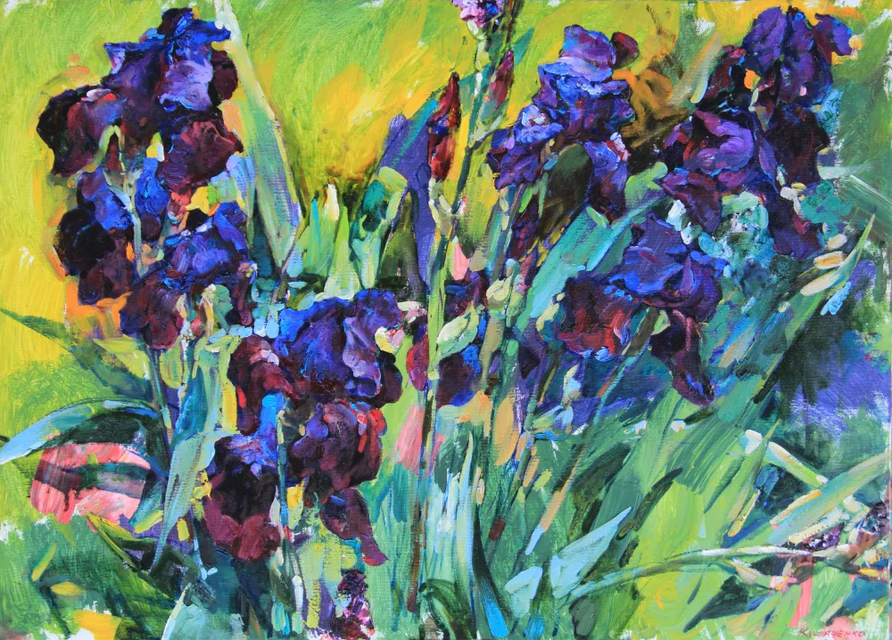 Kutsachenko, Andrii: Iris