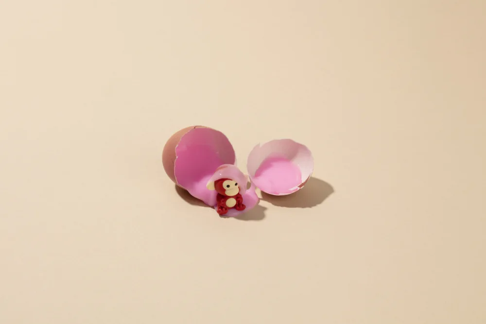Ramiro, Julia: Monkey Egg