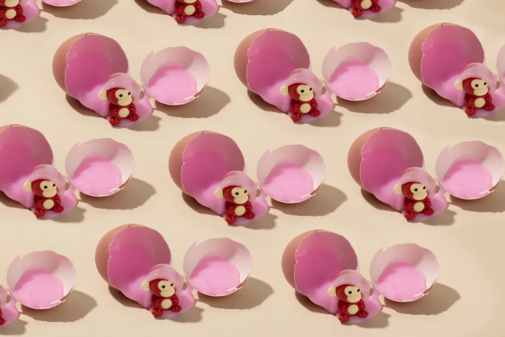 Ramiro, Julia: monkey hatching