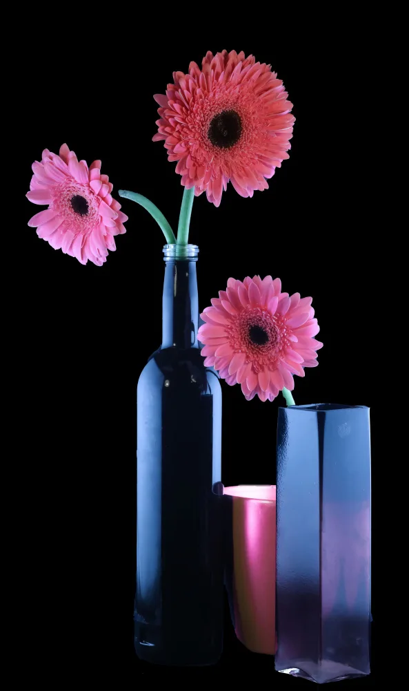 jlloydphoto: Impresiones rosas