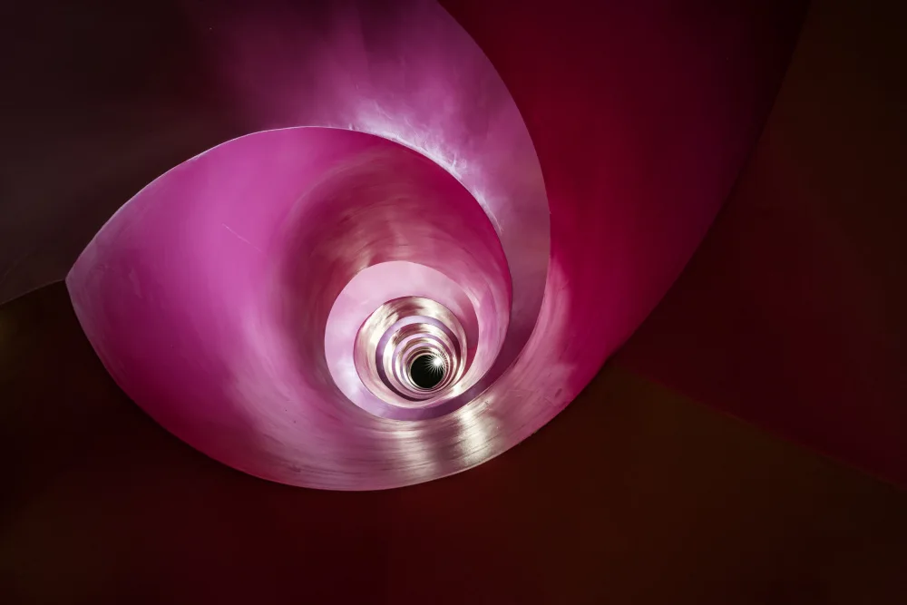 fotomarion: pink Lady