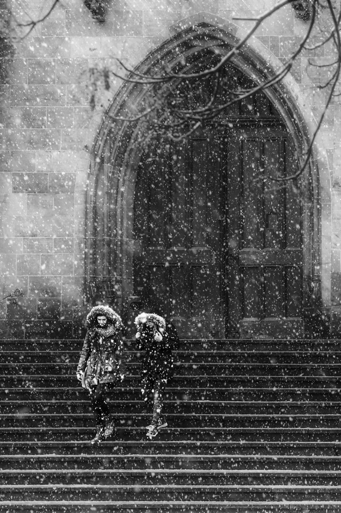 Yamamoto, Eiji: Jour de neige