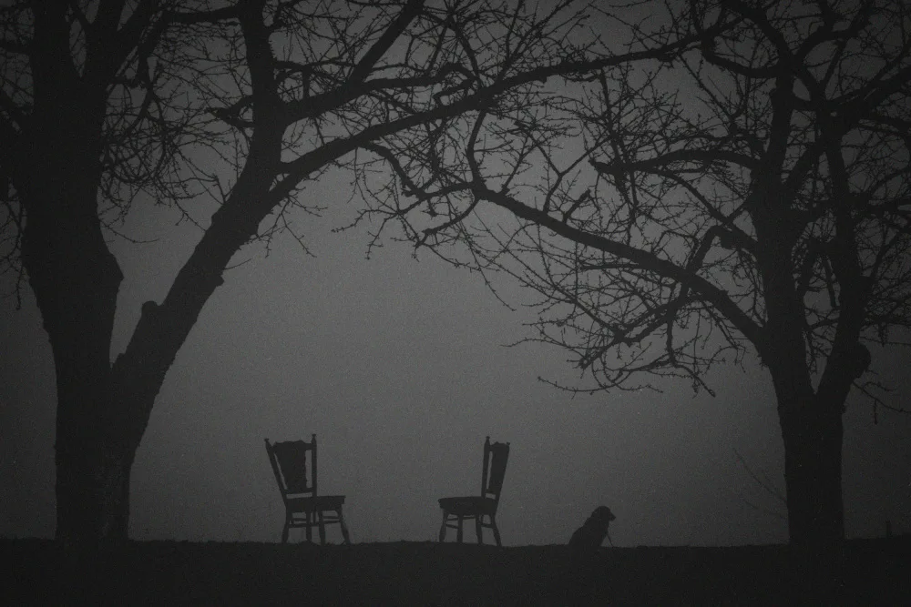 Ticu, Constantin: Waiting