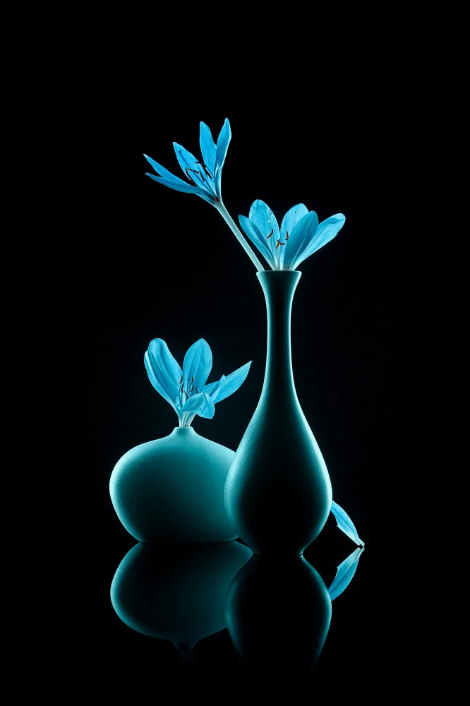Jacobs, Lydia: Schöne blaue Blumen