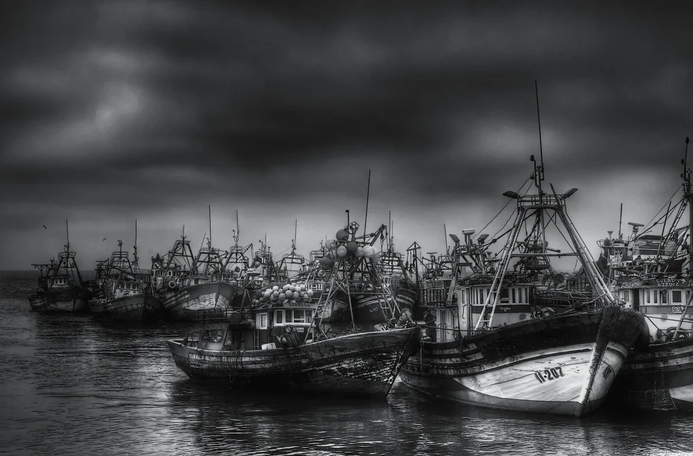 txules: Fishing fleet docked