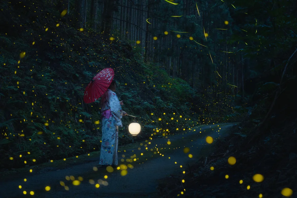 quan, van Vu: Japanese kimono and sea of fireflies