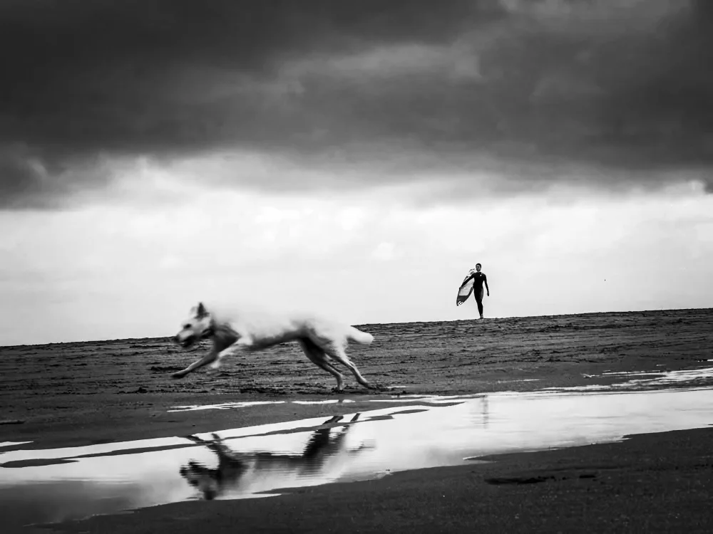 Navea, Alberto: VIENE TORMENTA