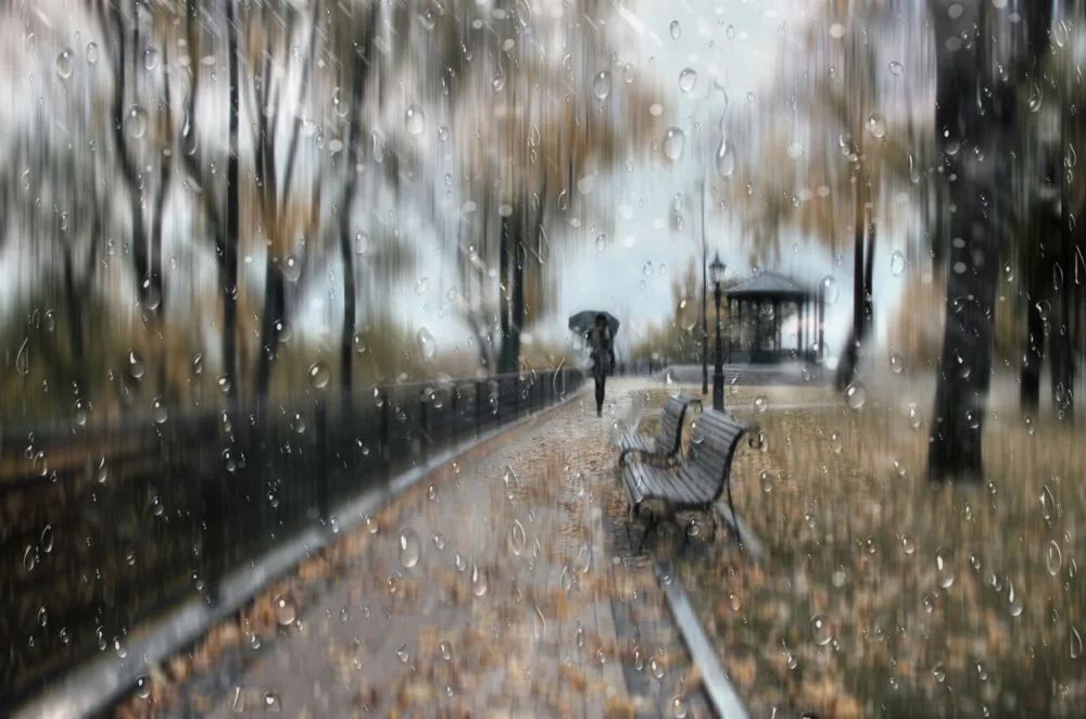 Kiyashko, Alexander: Podzimní park