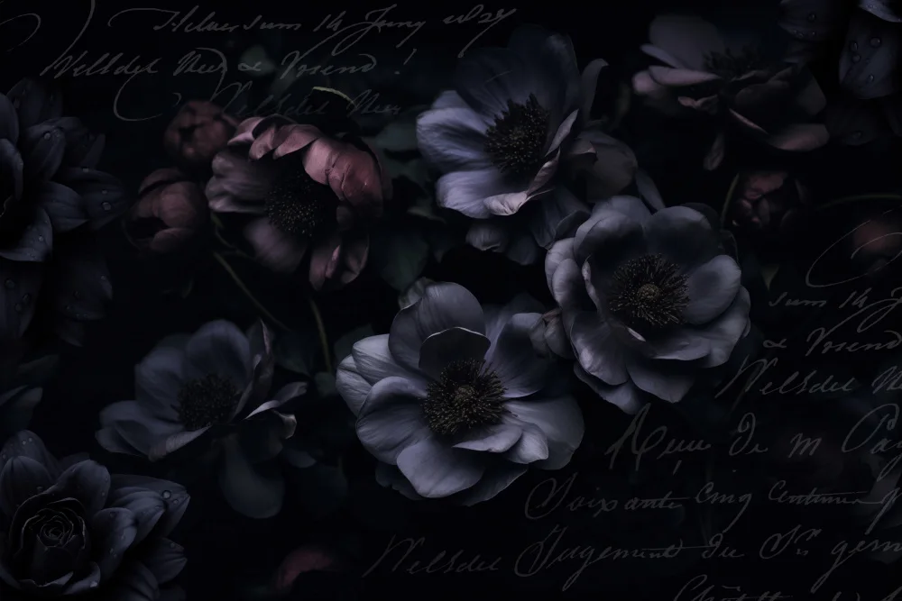 Haase, Andrea: Fleurs opulentes du jardin de minuit