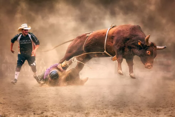 Ben.C.L: Tough Bull Fighting