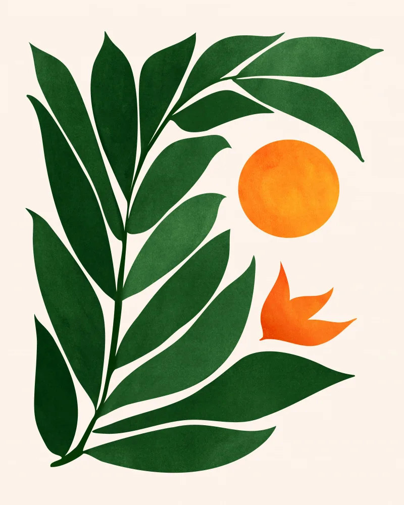 Gallagher, Kristian: Tropical Forest Sunset