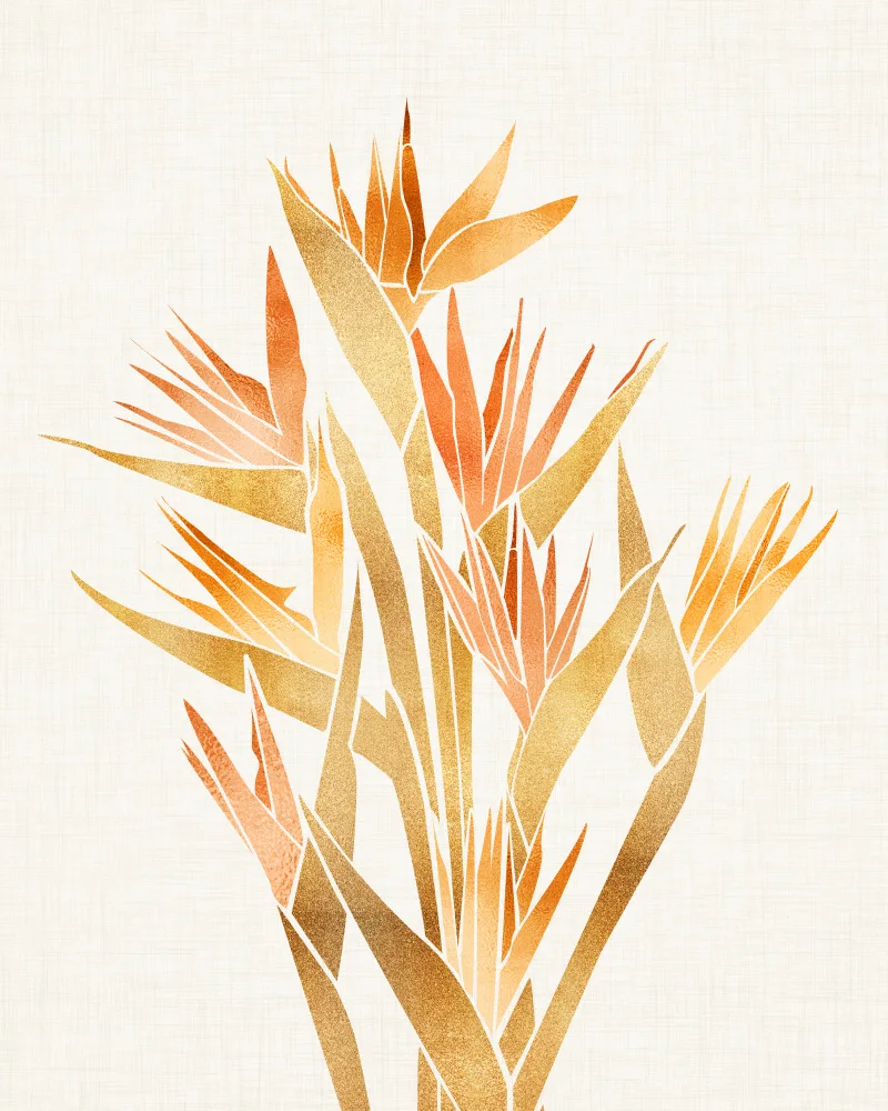 Gallagher, Kristian: Bird of Paradise