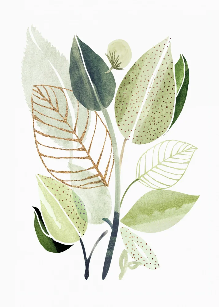 Gallagher, Kristian: Botanická koláž
