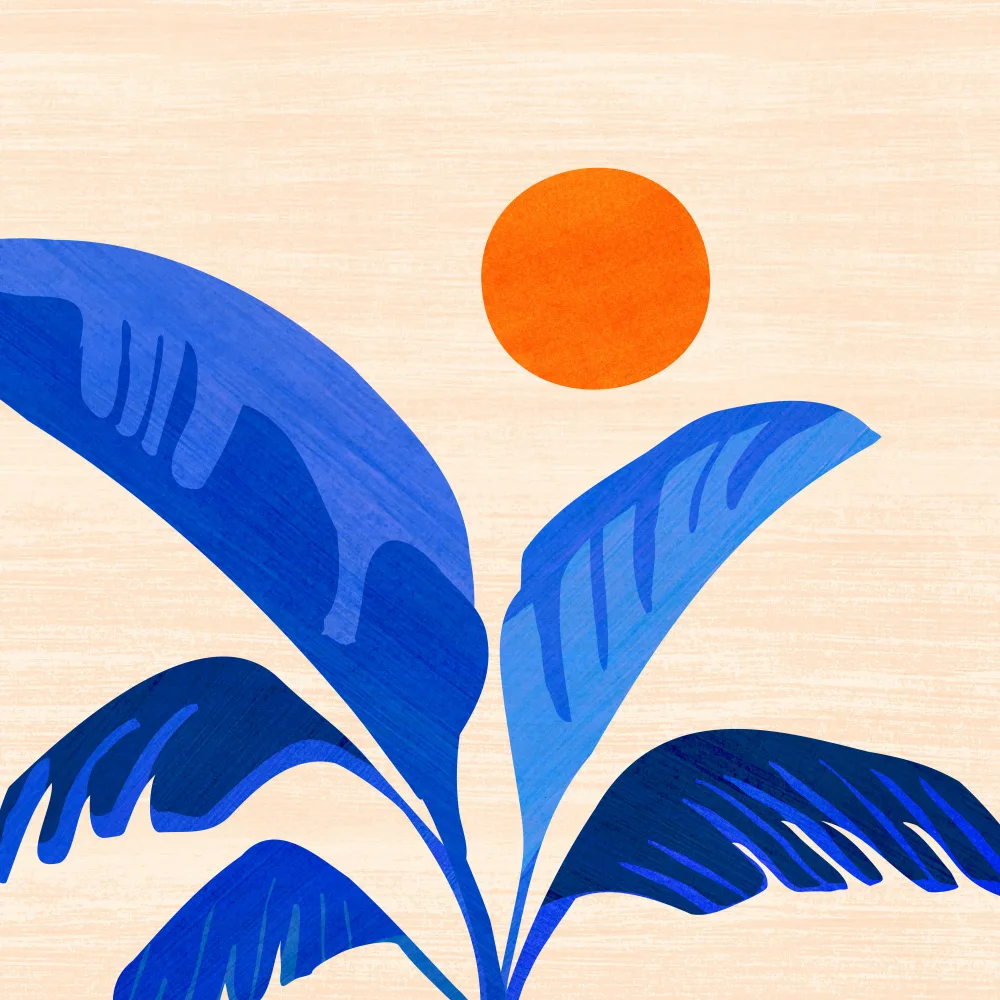 Gallagher, Kristian: Indigo Tropics