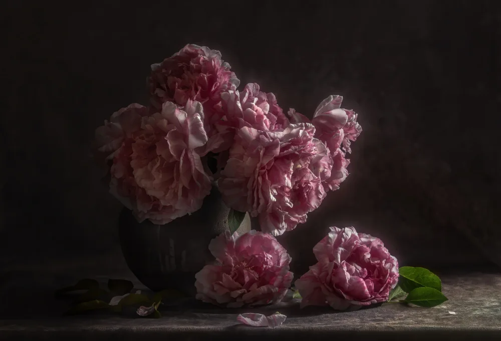 Tseng, Judy: Noble among flowers