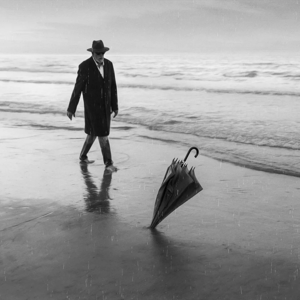 Schleicher-Schwarz, Roswitha: the lost umbrella