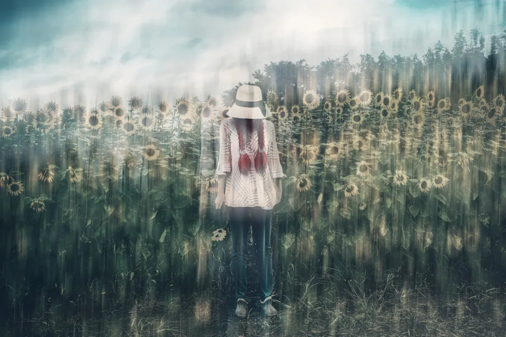 Hirai, Takiko: malinconico campo di girasoli