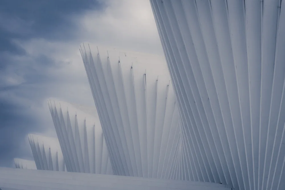 Bellomo, Donato: Calatrava in blue