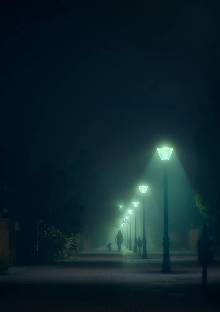 Martínez, Hernández Carlos: En la niebla