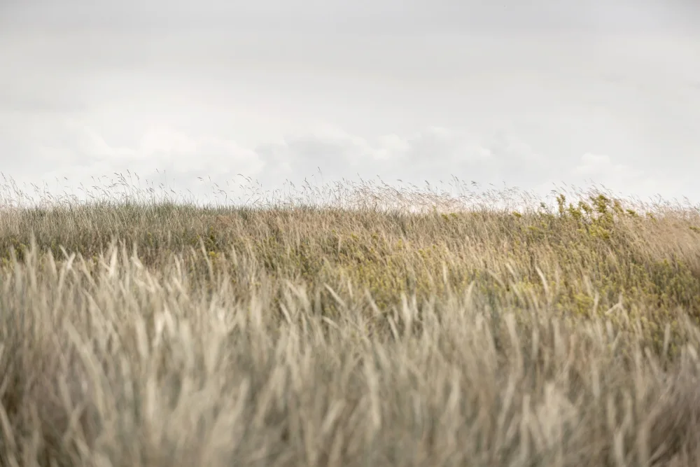 Böhmer, Mareike: Dunes and Clouds 2