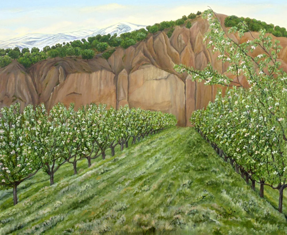 Pomata, M. Angeles: Alberi di mele cotogne