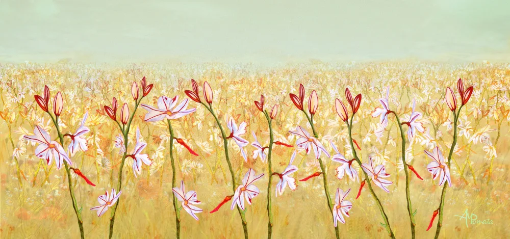 Pomata, M. Angeles: Field of Lilies