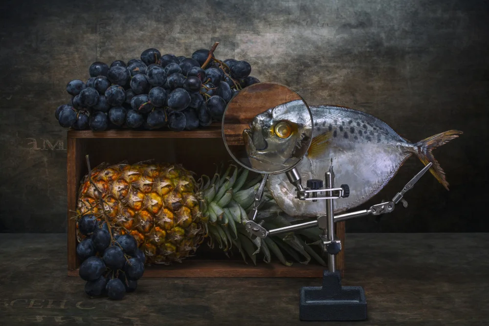 Barkow, Brig: Moonfish and grapes and pineapple