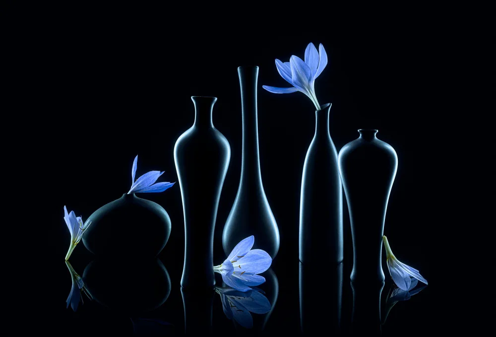 Jacobs, Lydia: Blaues Colchicum
