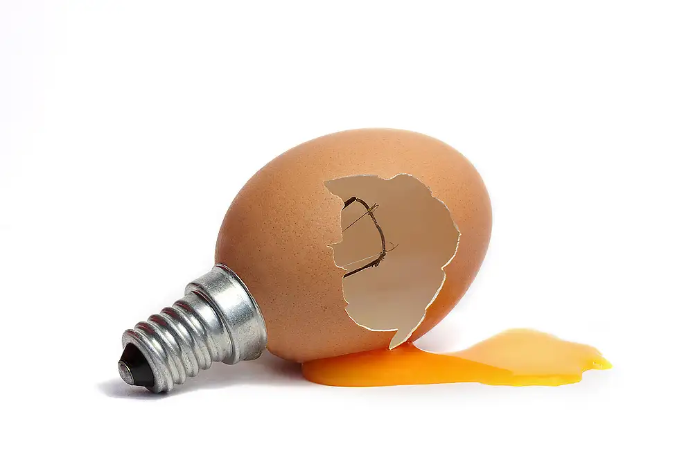 Bizziocchi, Marco: Alternativní energie