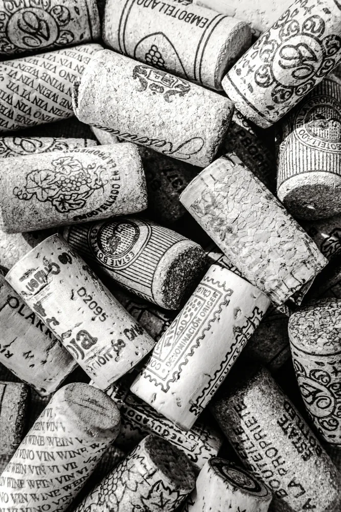 Studio, Pictufy: Wine 001 Bw