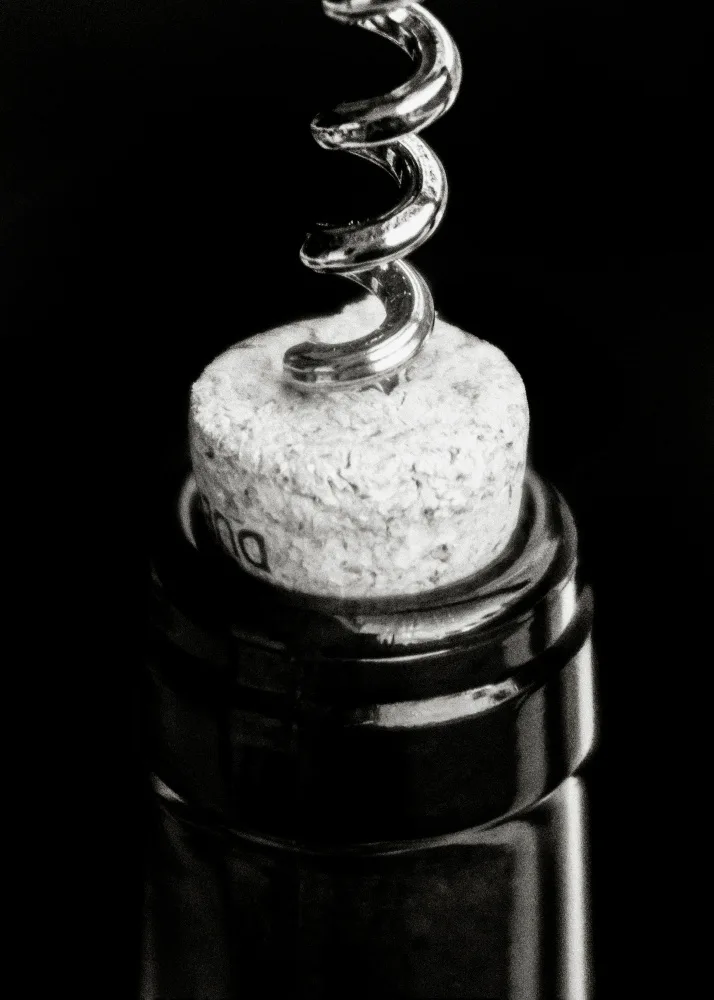 Studio, Pictufy: Wine 003