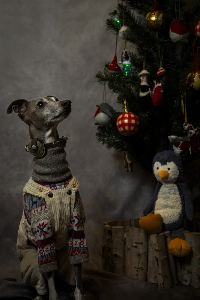 nao_kash: Christmas is coming soon
