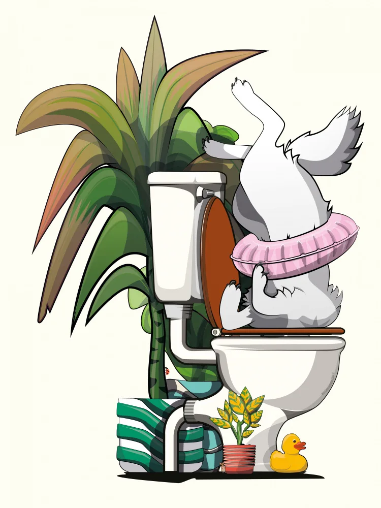 Washroom, The In: Polární liška na záchodě