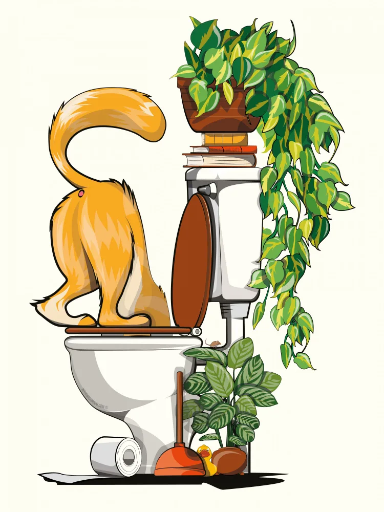 Washroom, The In: Gato bebiendo del baño